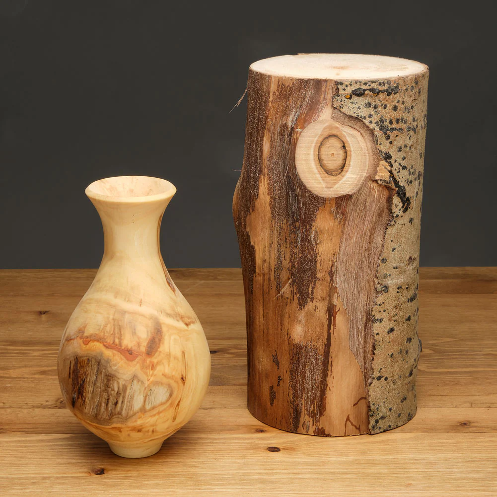 Aspen Log Blanks - Image 2